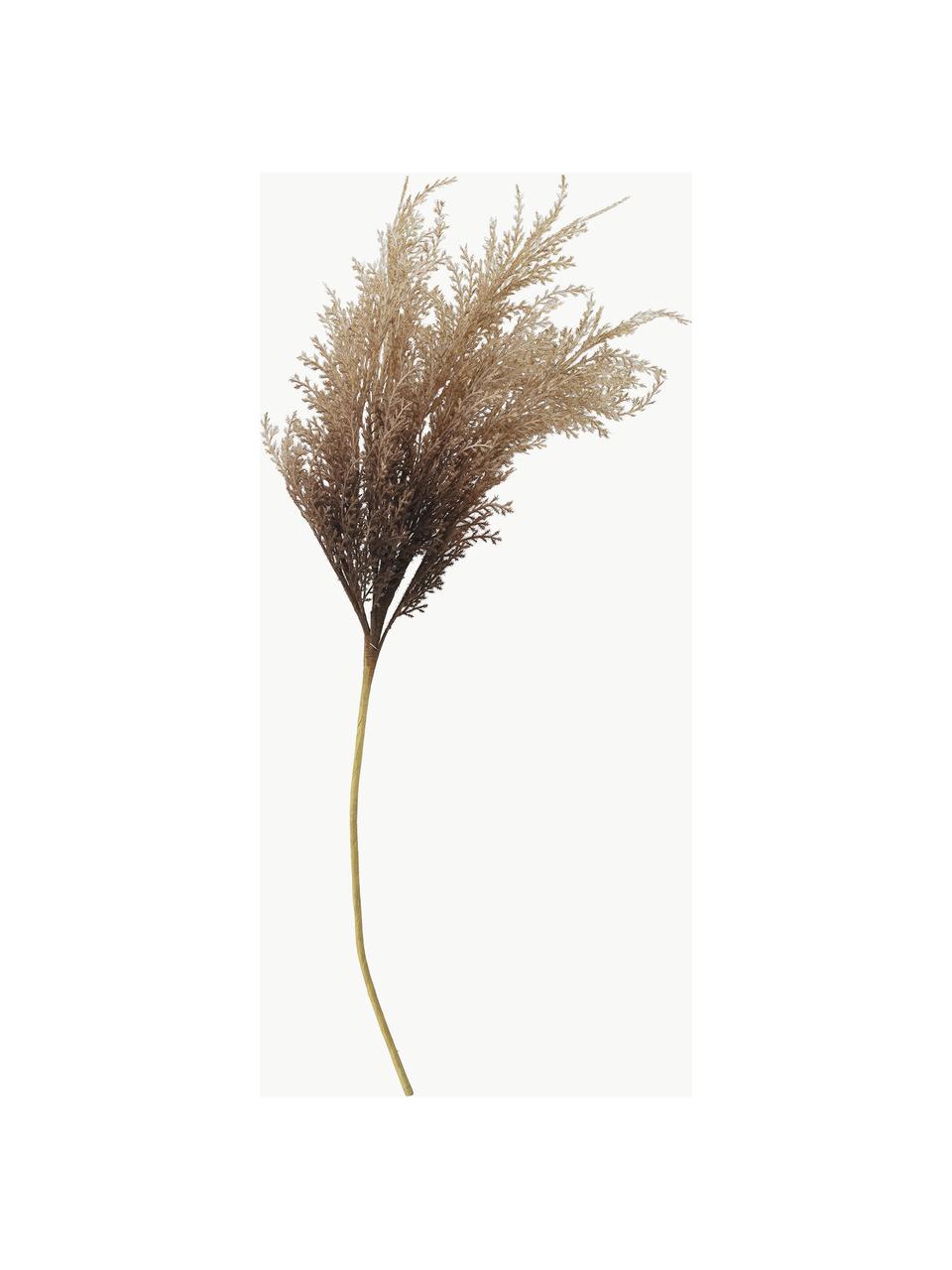 Branche décorative Abenaa, Plastique, métal, Beige, taupe, long. 81 cm