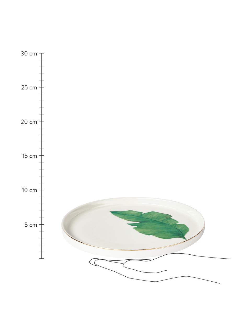 Assiettes à dessert en porcelaine motif tropical Timba, 4 élém., Porcelaine Fine Bone China
Fine Bone China est une porcelaine tendre, qui se distingue particulièrement par sa brillance et sa translucidité, Blanc, vert, couleur dorée, imprimé, Ø 21 cm