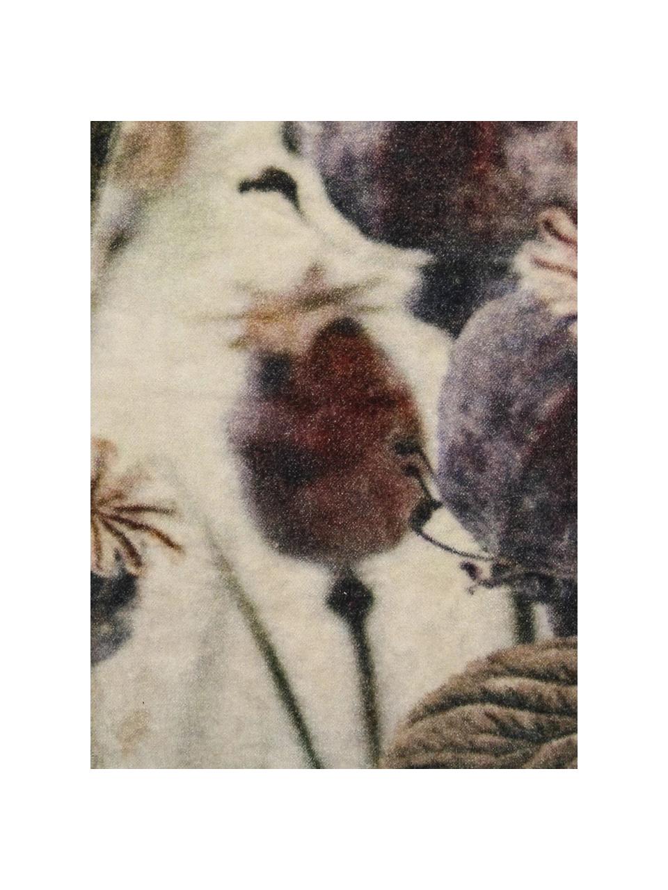 Sametový polštář s výplní Poppy, Béžová, odstíny šedé, Š 40 cm