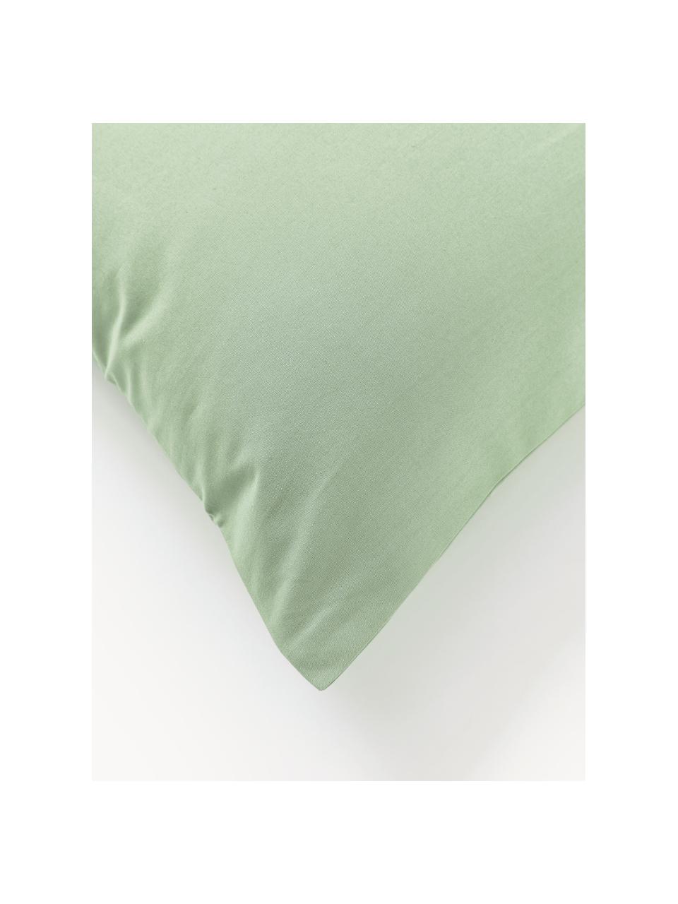 Funda de almohada de percal Elsie, Verde salvia, An 45 x L 110 cm