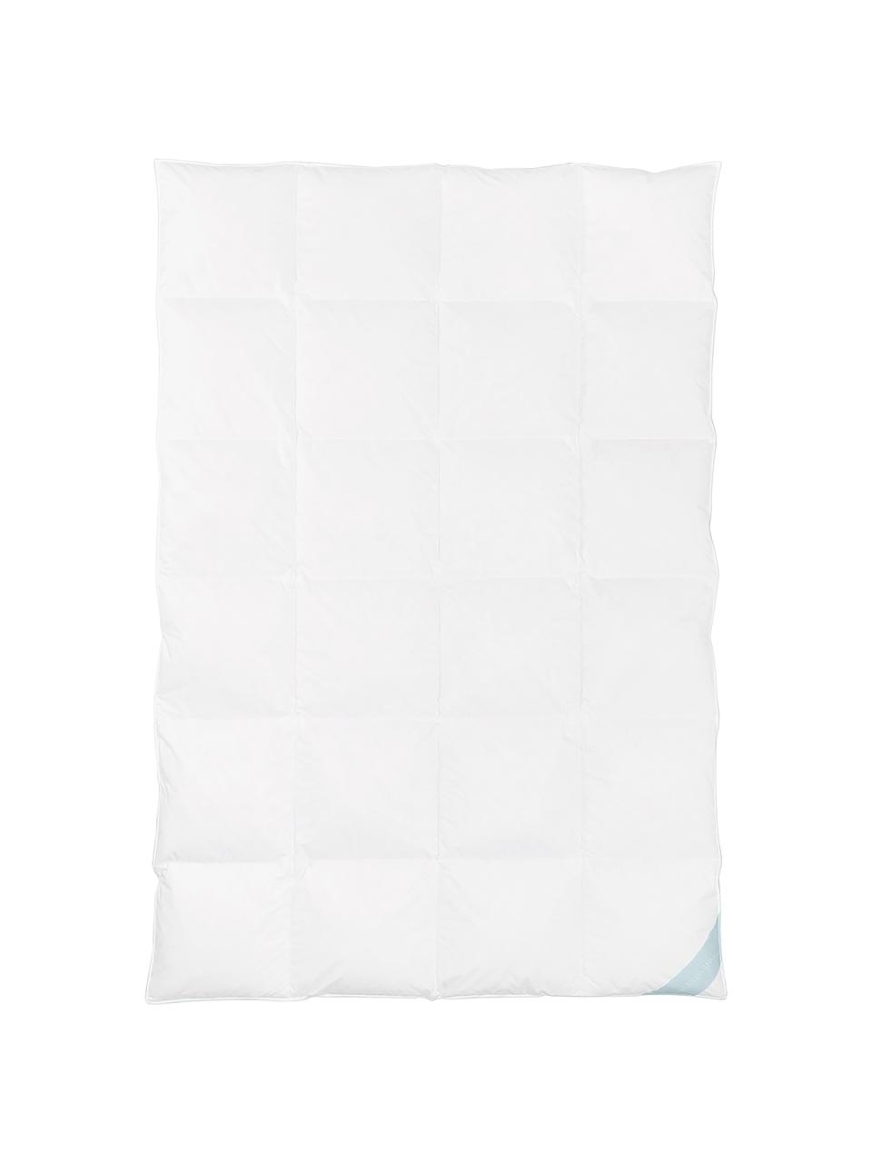 Zuiver donzen cassette-dekbed Premium, warm, Warm, B 200 x L 200 cm