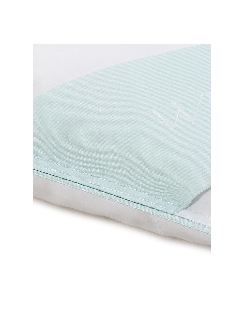Couette matelassée pur duvet Premium, chaude, Chaude, larg. 200 x long. 200 cm