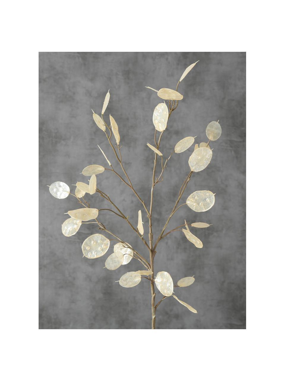 Ramo decorativo Laluna, Plastica, Tonalità beige, Lunghezza 91 cm