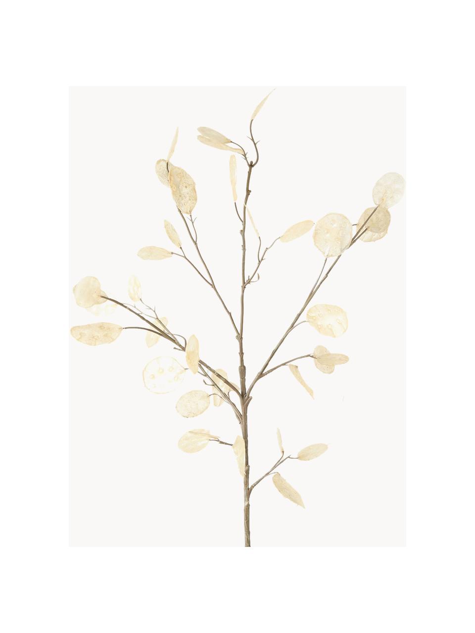 Ramo decorativo Laluna, Plastica, Tonalità beige, Lunghezza 91 cm