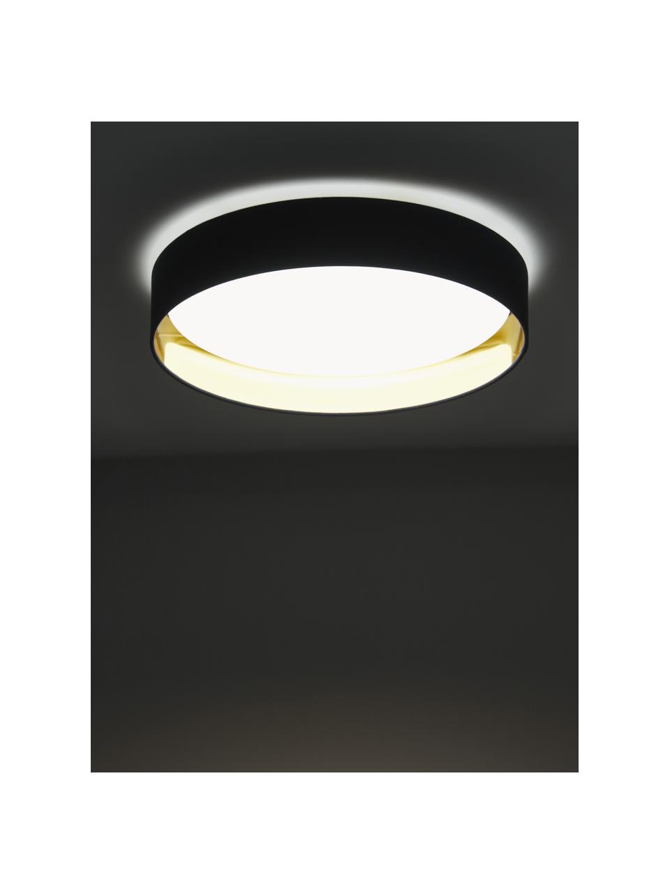LED plafondlamp Mallory, Diffuser: kunststof, Donkerblauw, Ø 41 x H 10 cm