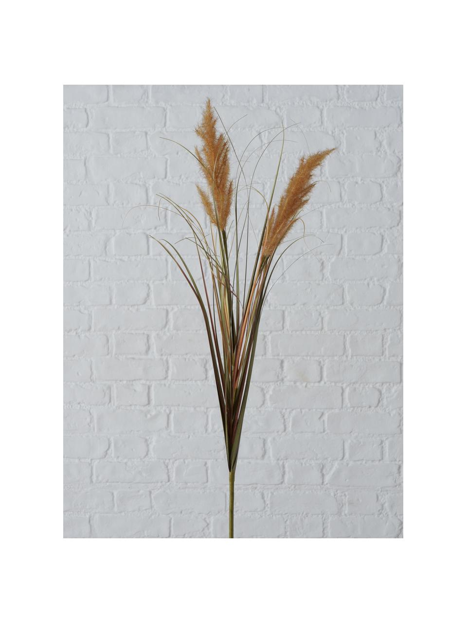 Herbes sèchse artificiellse Vunar, 2 élém., Plastique, Tons beiges, tons bruns, vert, larg. 25 x haut. 100 cm