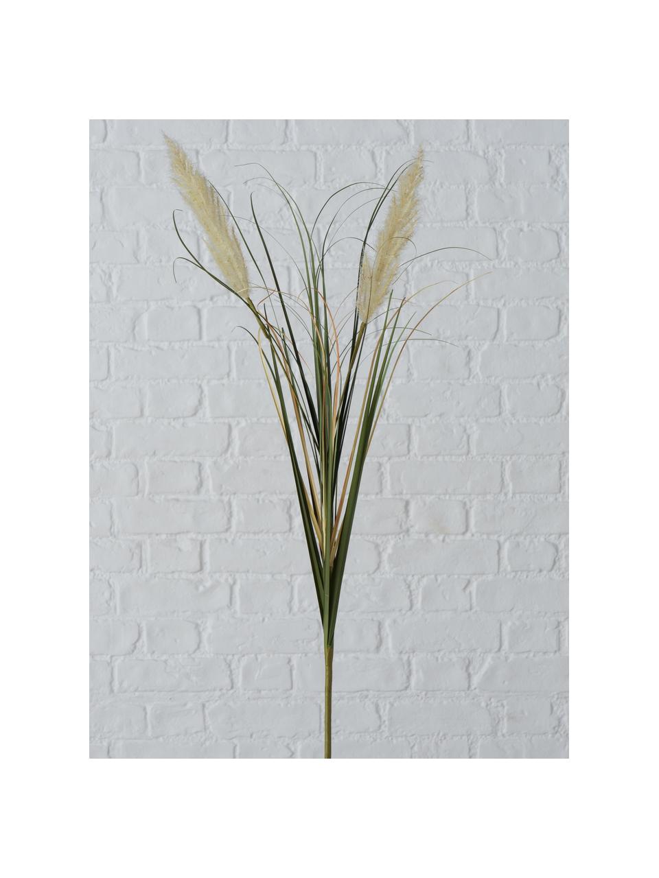 Herbes sèchse artificiellse Vunar, 2 élém., Plastique, Tons beiges, tons bruns, vert, larg. 25 x haut. 100 cm
