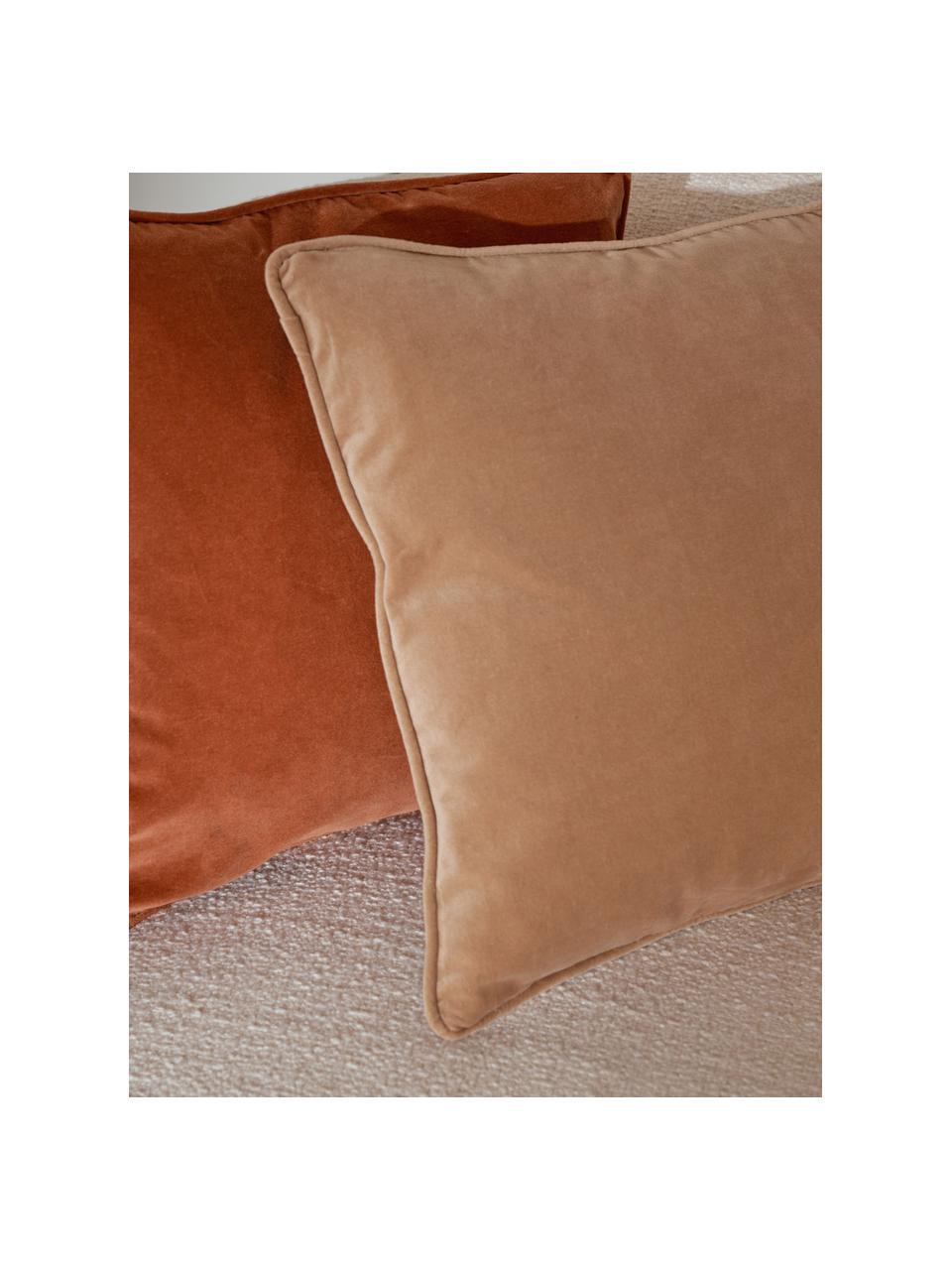 Fluwelen kussenhoes Dana, 100% katoenfluweel, Lichtbeige, B 50 x L 50 cm