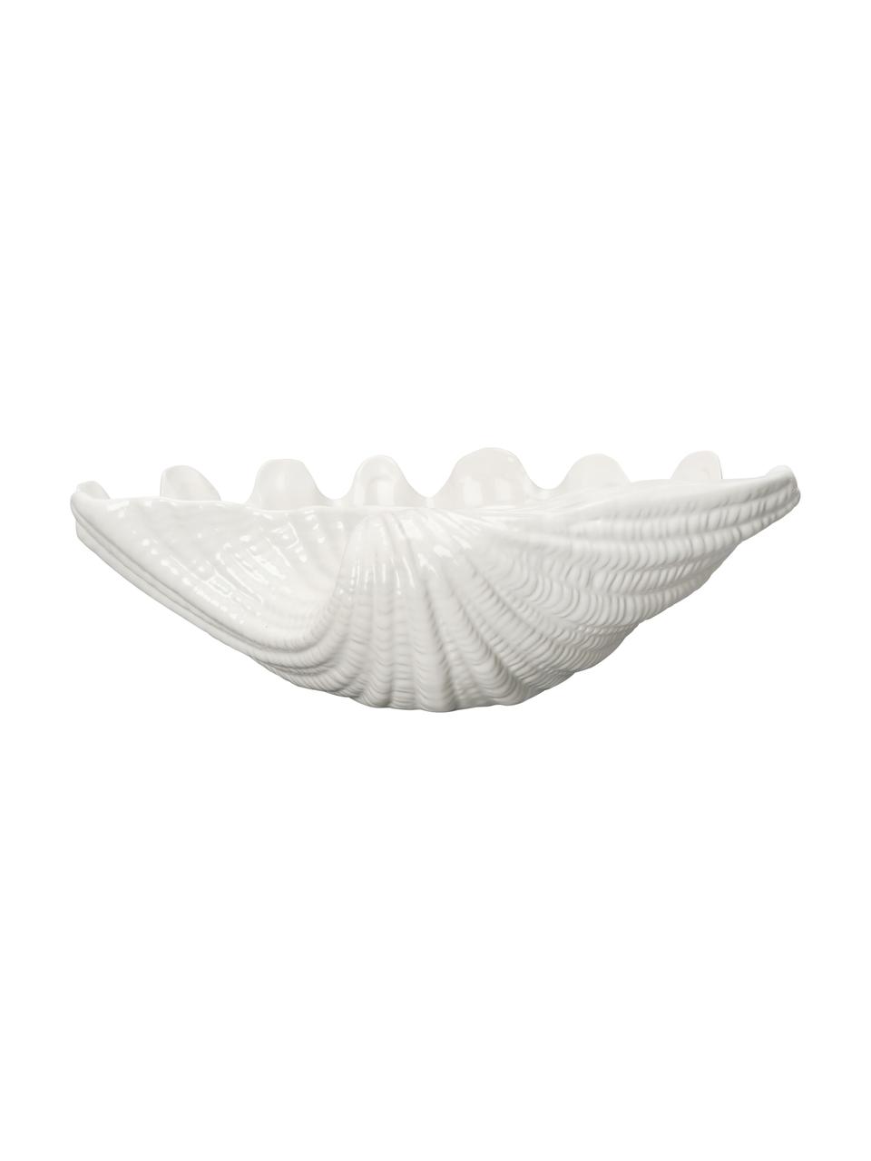 Cuenco de dolomita Shell, Dolomita, Blanco, An 34 x Al 10 cm