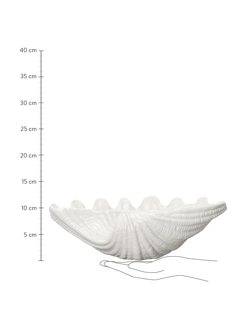 Servírovací mísa ve tvaru mušle z dolomitu Shell, Dolomit, Bílá, Š 34 cm, V 10 cm