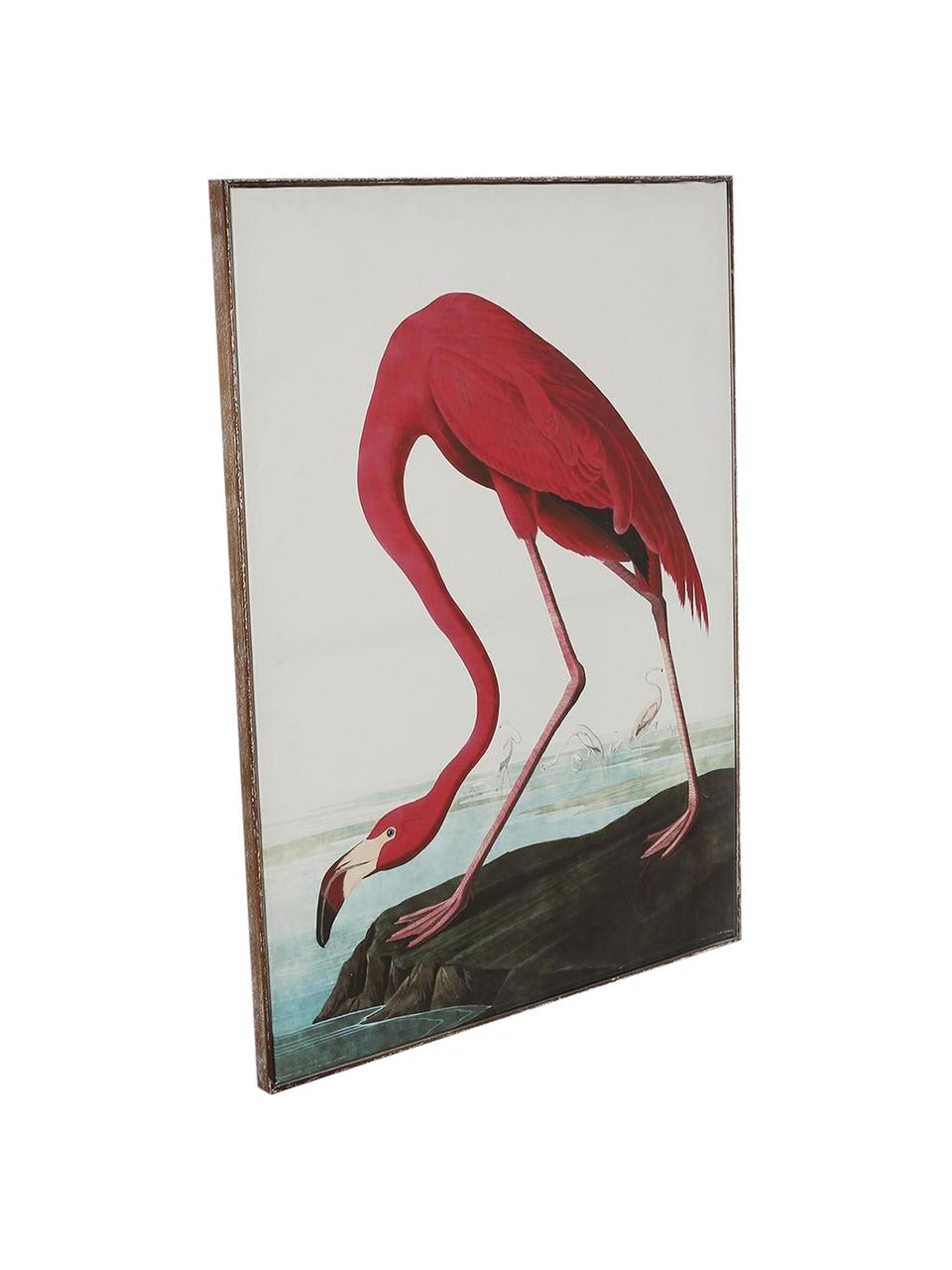 Lienzo enmarcado Flamingo, Multicolor, An 83 x Al 114 cm