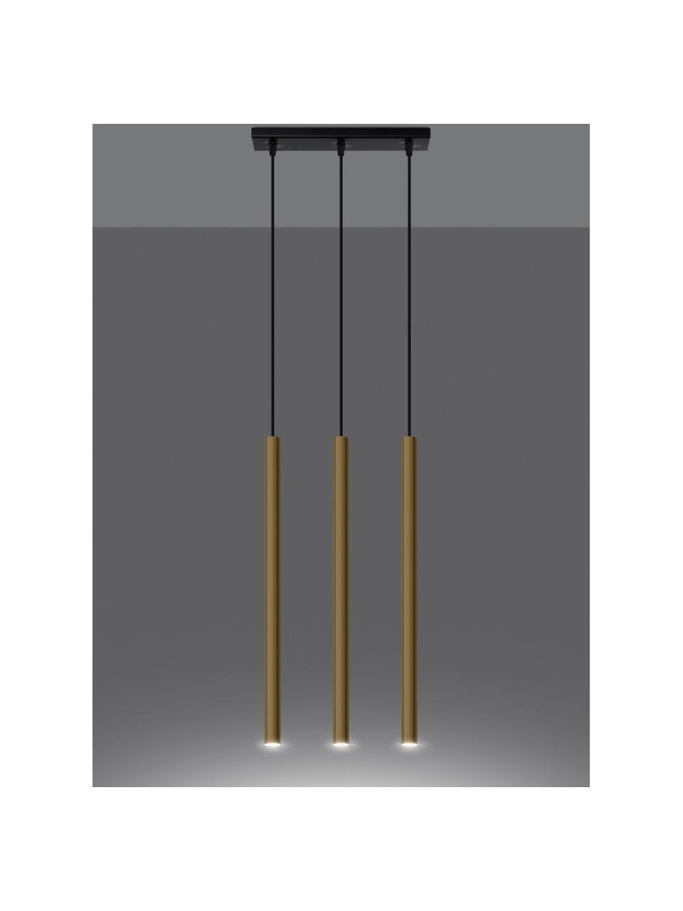 Suspension Fideus, Doré, haute brillance, larg. 30 x haut. 90 cm