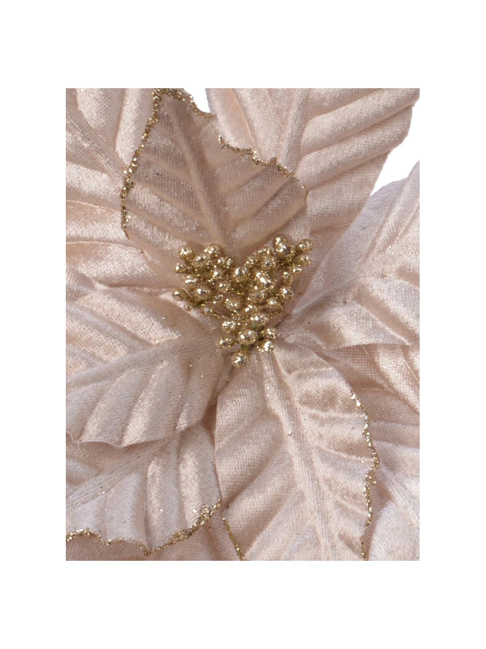 Baumanhänger Poinsettia, 2er-Set, Polyester, Rosa, Ø 30 x H 4 cm
