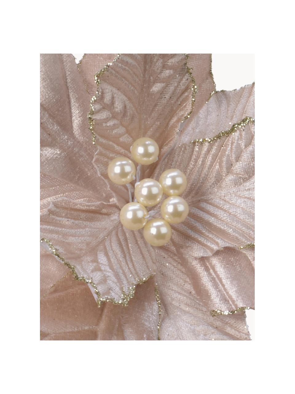 Baumanhänger Poinsettia, 2er-Set, Polyester, Hellrosa, Goldfarben, Ø 30 x H 4 cm