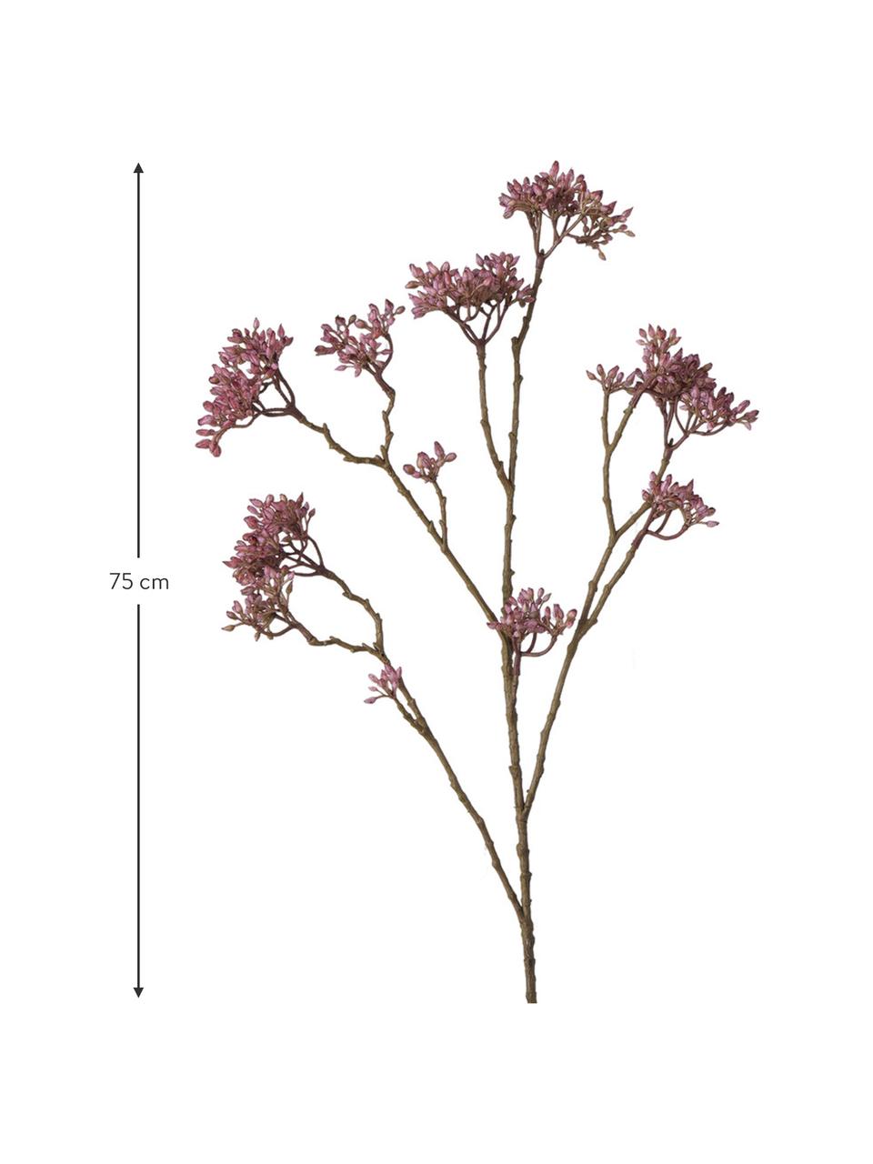 Fiore artificiale Hartriegel, Materiale sintetico, Rosa, marrone, Lung. 75 cm