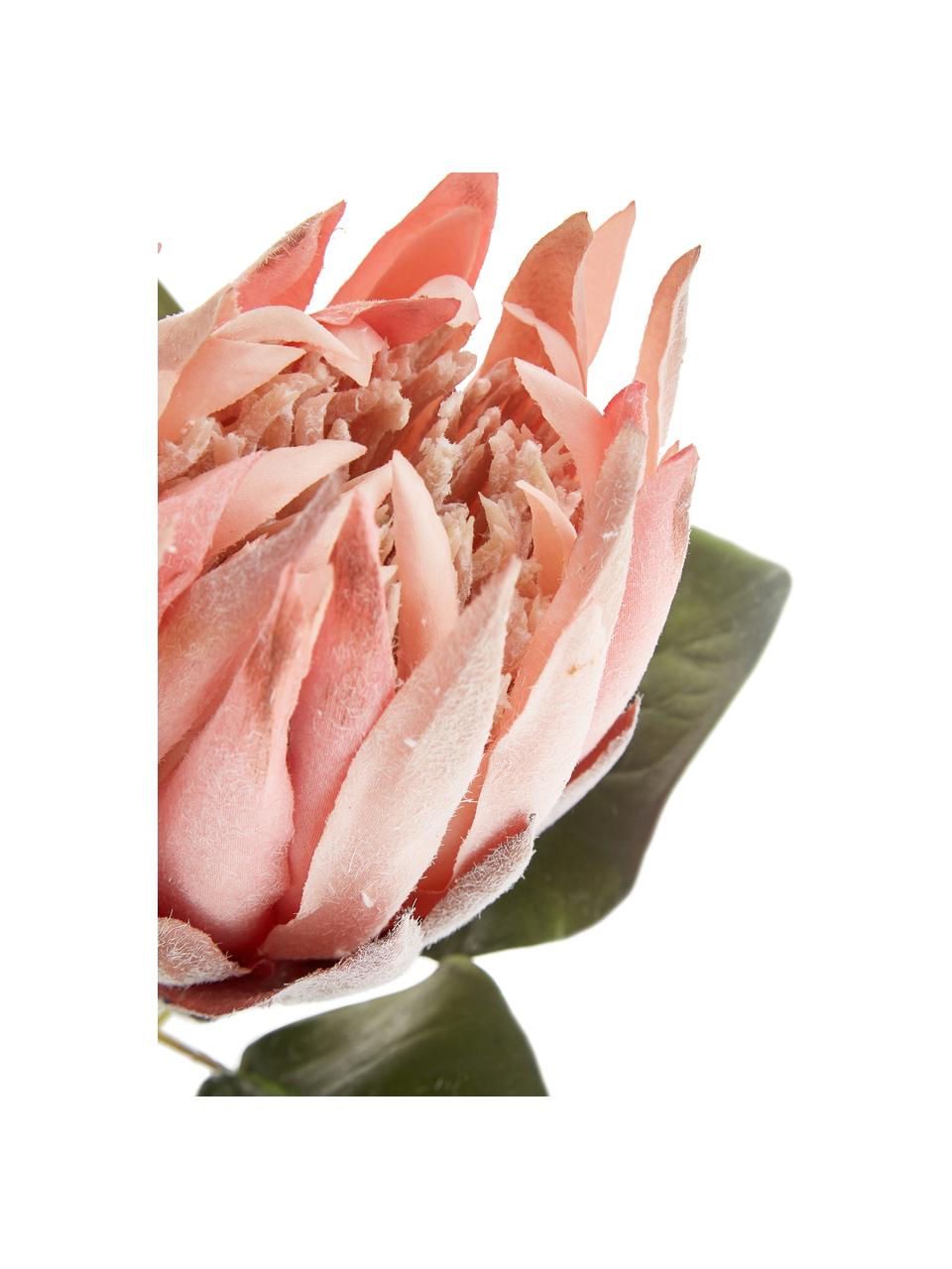 Umelá kvetinová dekorácia (protea), Zelená, ružová