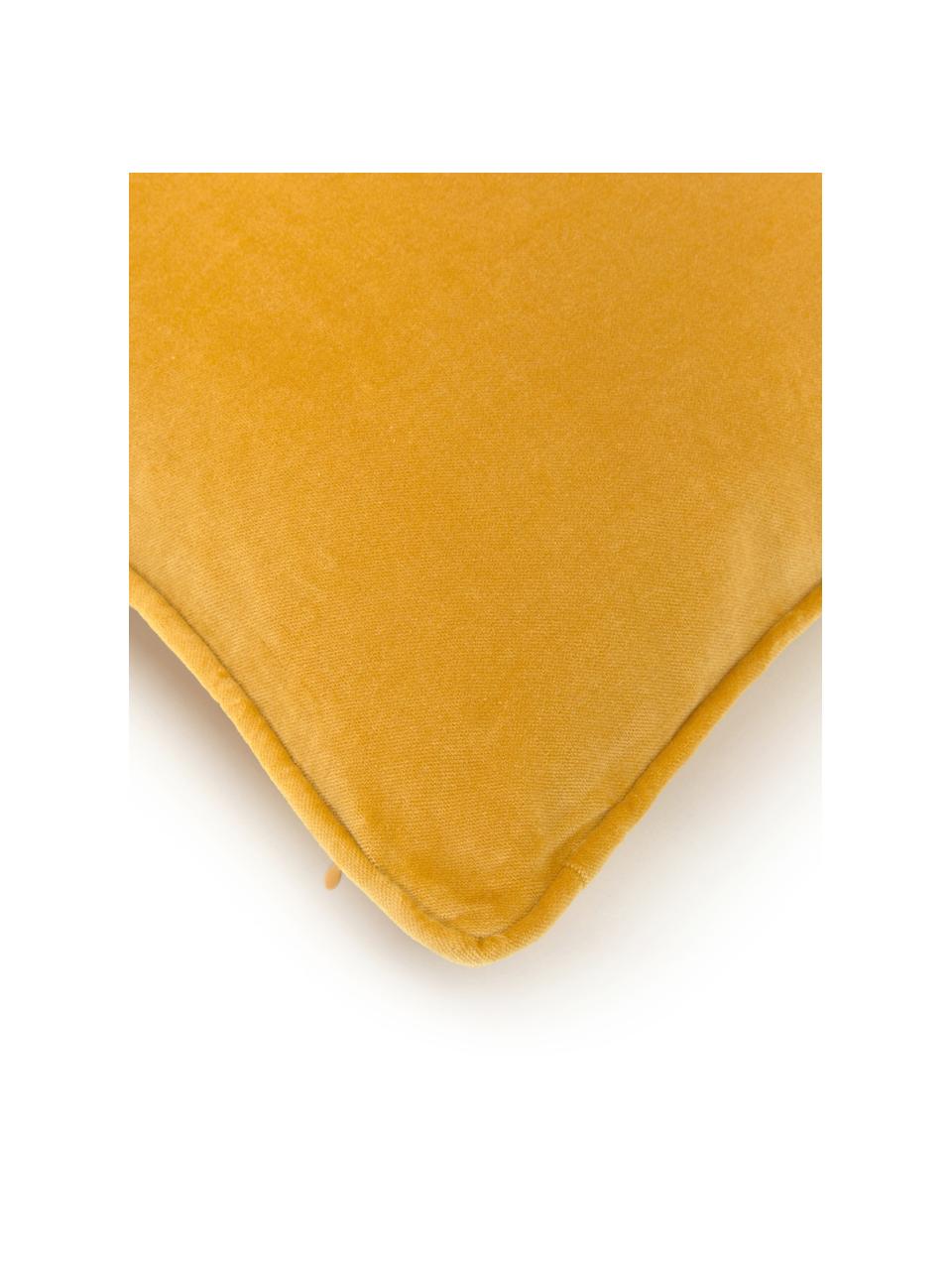 Einfarbige Samt-Kissenhülle Dana, 100% Baumwollsamt, Ockergelb, B 50 x L 50 cm
