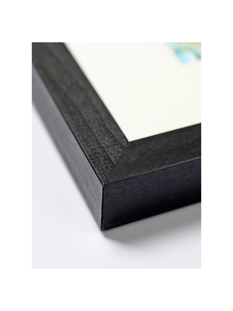 Gerahmter Digitaldruck Holli, Bild: Digitaldruck auf Papier, , Rahmen: Buchenholz, lackiert, Front: Plexiglas, Schwarz, Weiß, B 33 x H 43 cm