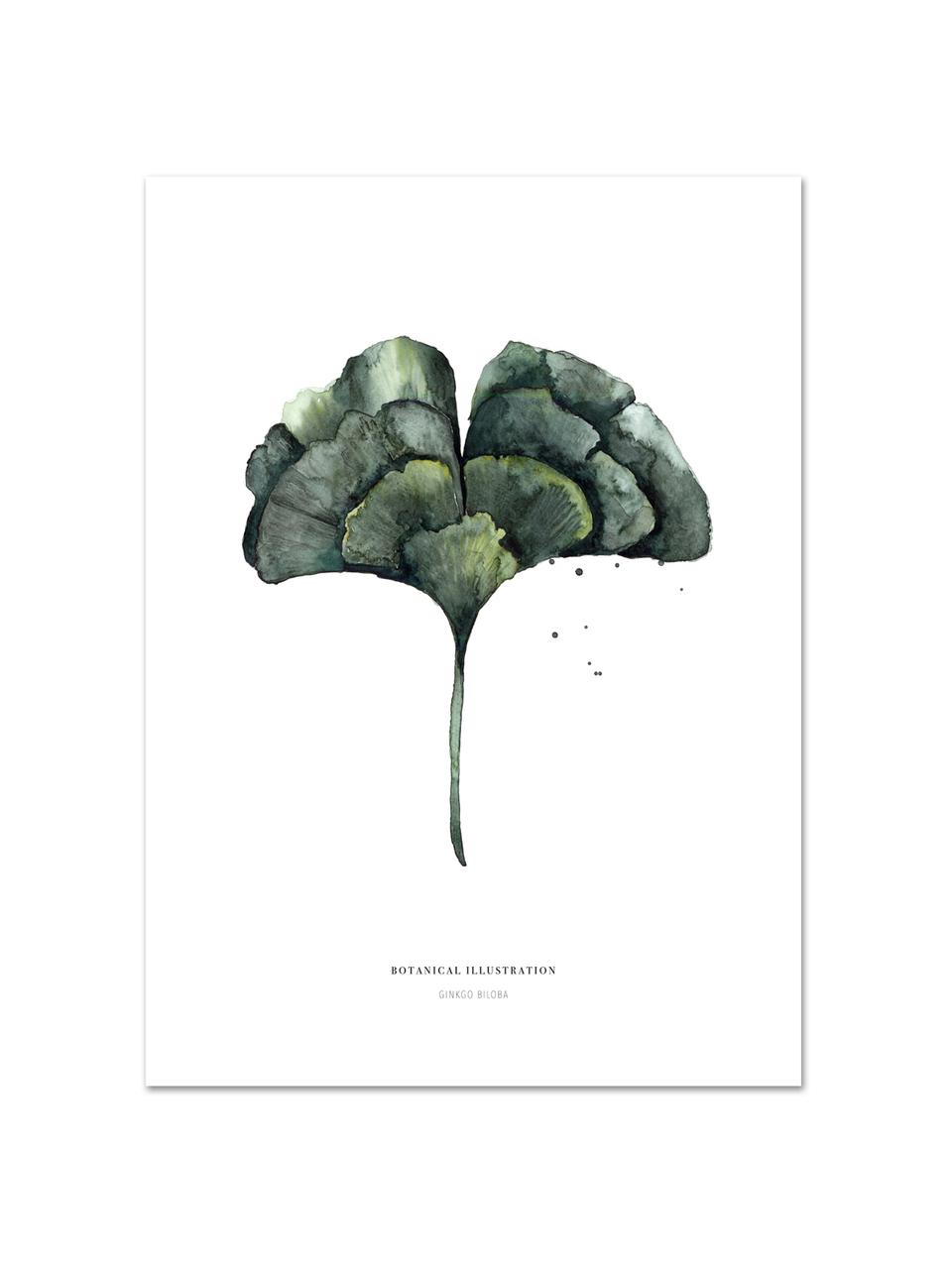 Póster Ginko, Impresión digital sobre papel, 200 g/m², Blanco, verde, An 21 x Al 30 cm