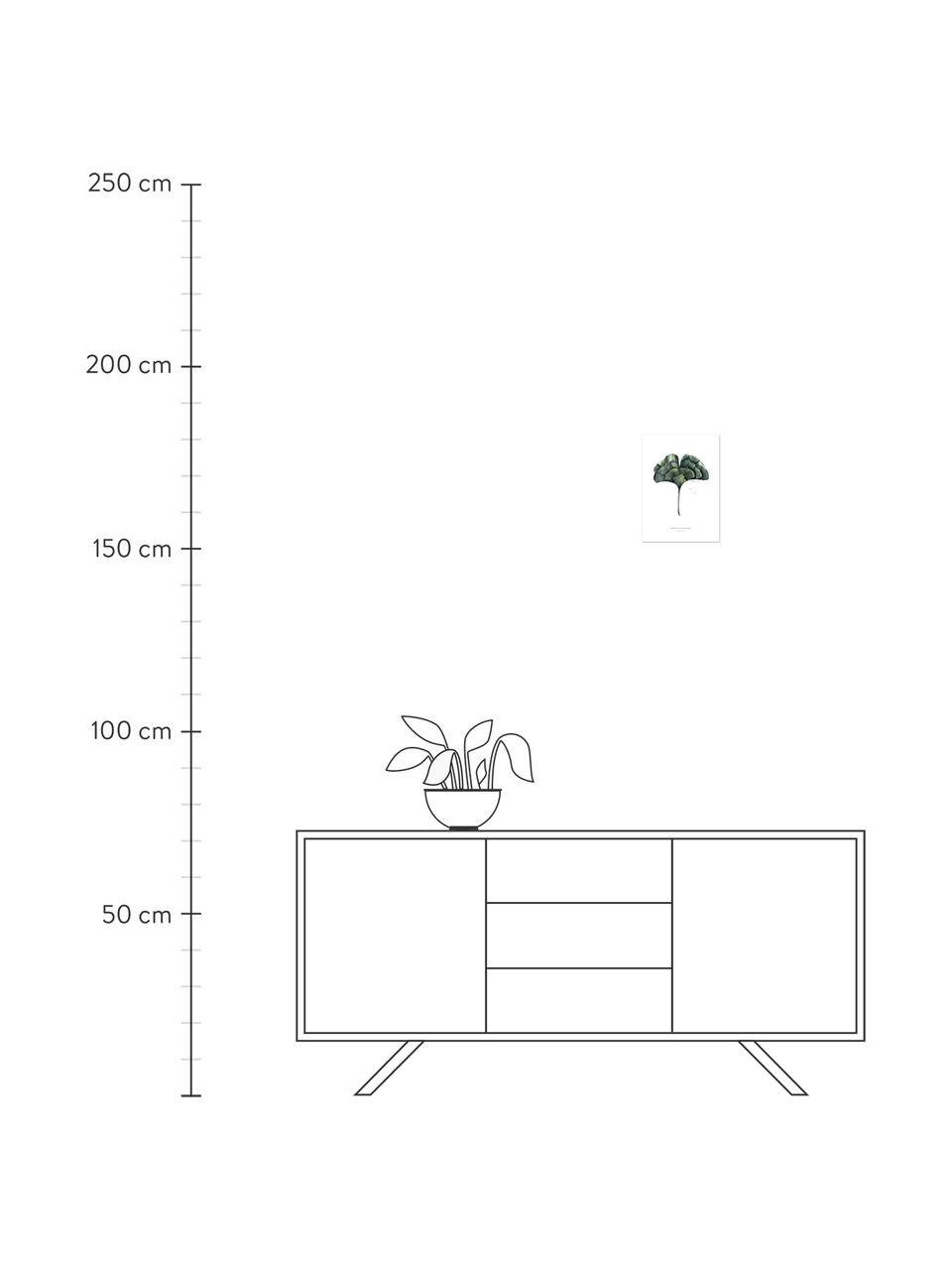 Poster Ginko, Digitale print op papier, 200 g/m², Wit, groen, B 21 x H 30 cm