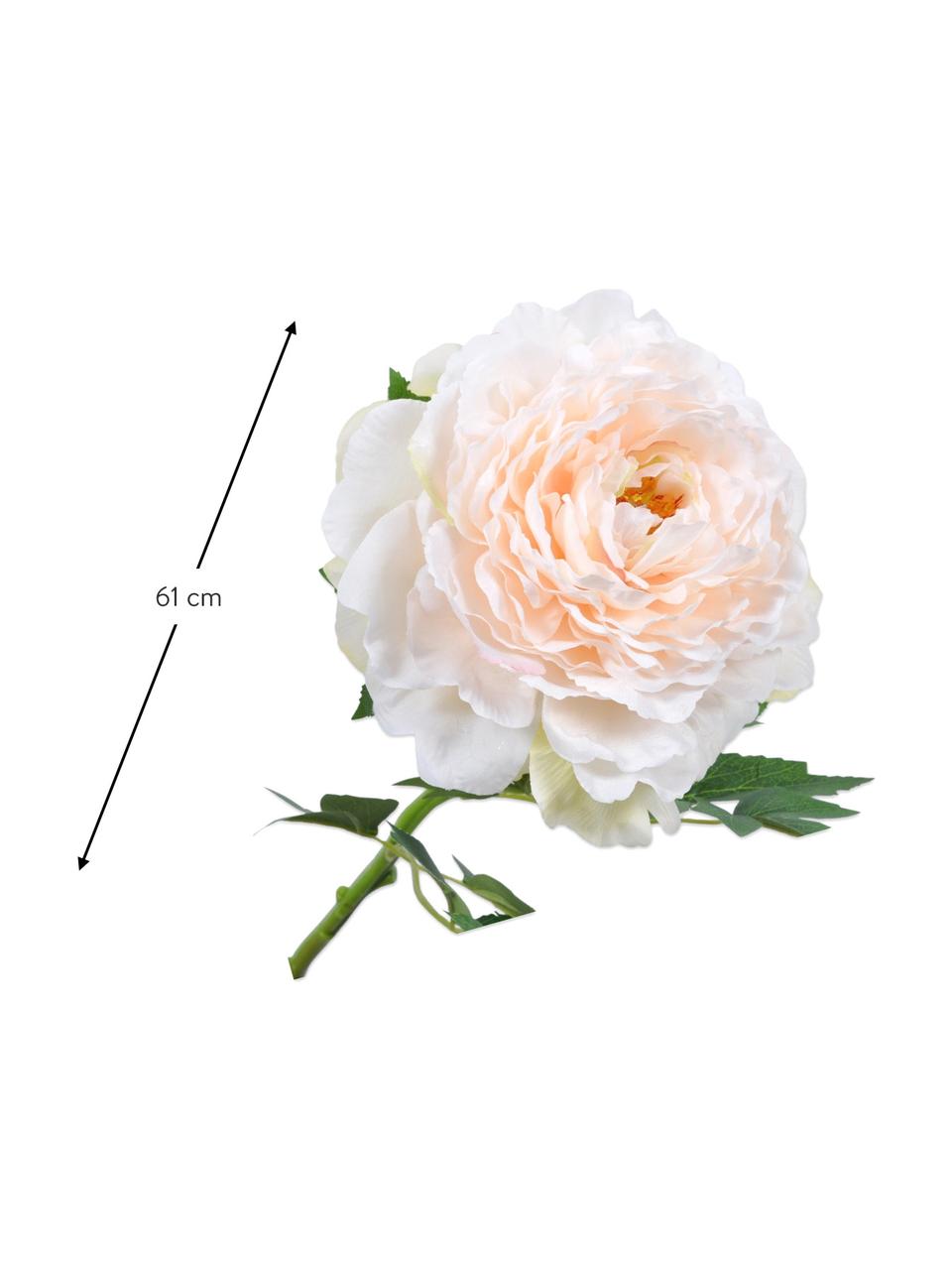 Pivoine artificielle, blanc/rose, Plastique, câble métallique, Blanc, rose, long. 61 cm