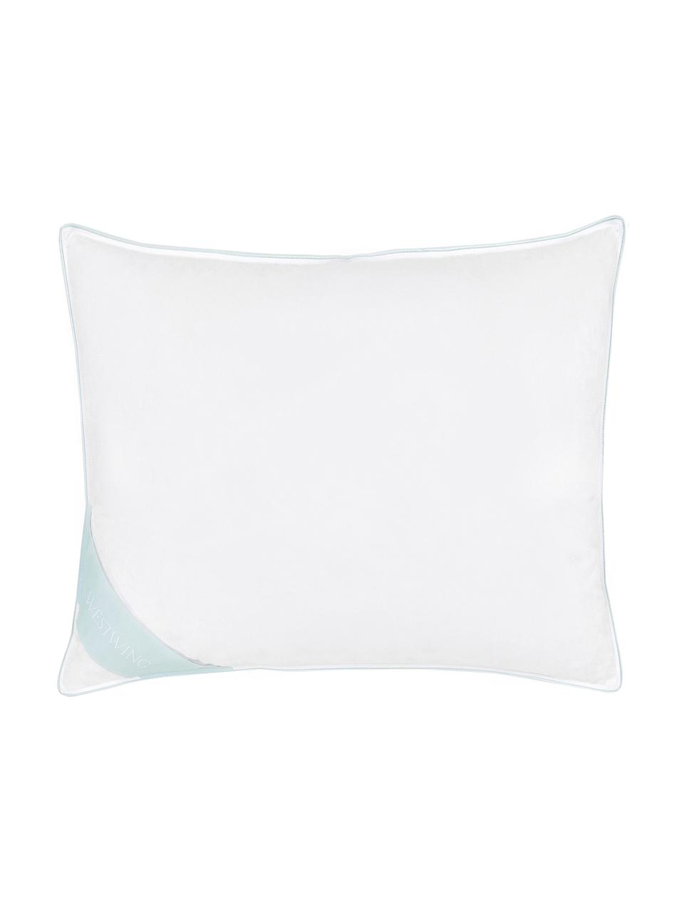 Veren hoofdkussen Comfort, medium, Medium, B 60 x L 70 cm
