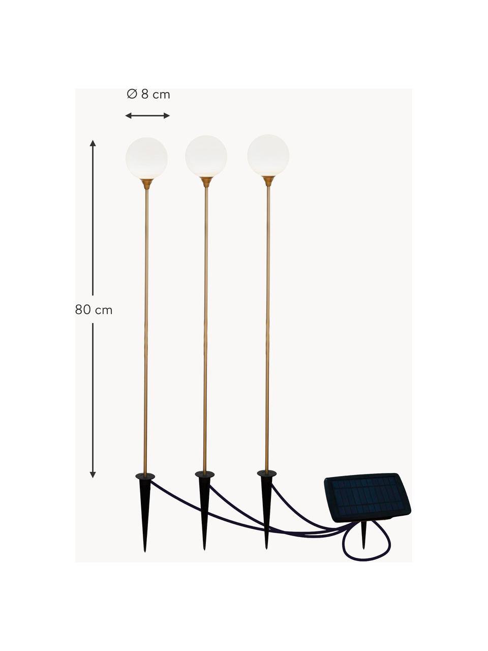 Set 3 lampade solari a LED Bruna, Paralume: plastica, Trasparente, dorato, nero, Ø 8 x Alt. 80 cm