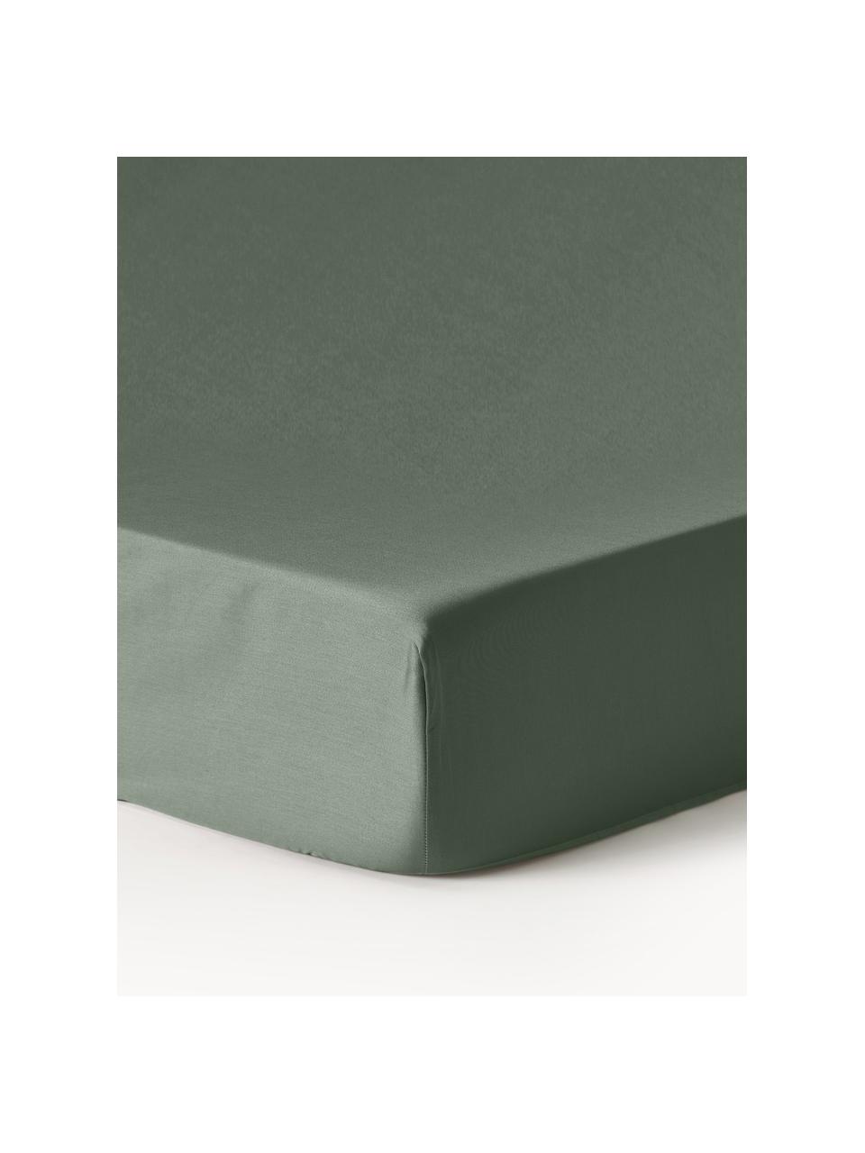 Lenzuolo con angoli topper in raso di cotone Premium, Verde scuro, Larg. 90 x Lung. 200 cm, Alt. 15 cm