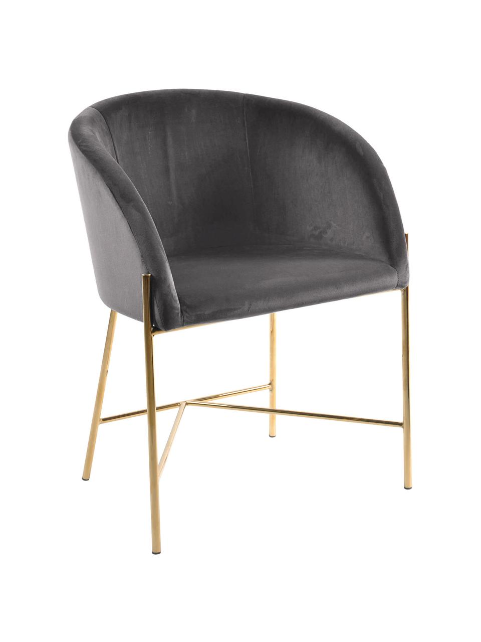 Chaise rembourrée velours gris foncé Nelson, Gris foncé, couleur laitonnée, larg. 56 x prof. 55 cm