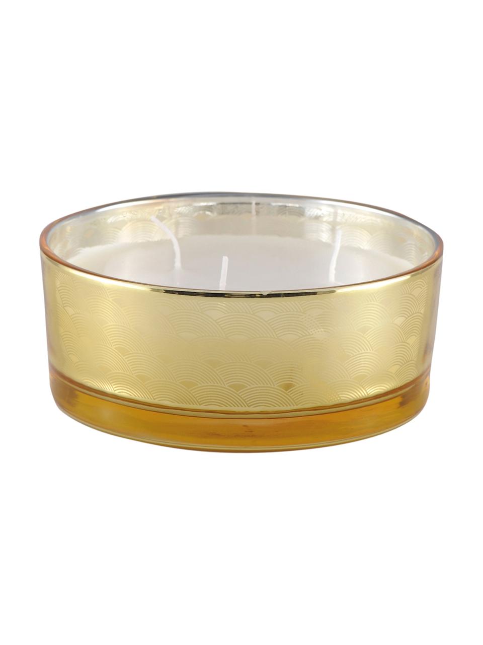 3-lonts geurkaars Sunny (vanille), Houder: glas, Amberkleurig, transparant, goudkleurig, Ø 15 x H 6 cm
