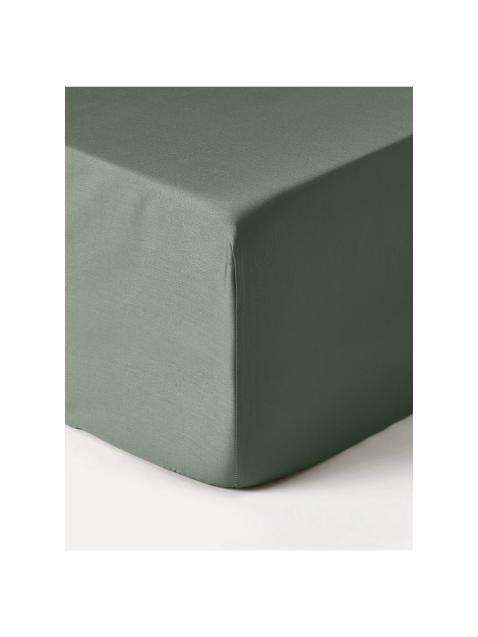 Drap-housse en satin de coton pour sommier tapissier Premium, Vert foncé, larg. 90 x long. 200 cm, haut. 35 cm