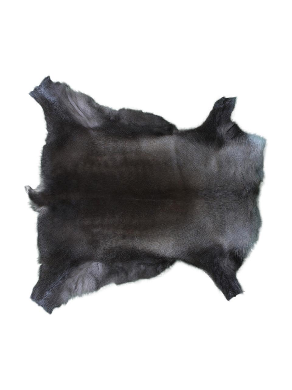 Dywan ze skóry renifera Berndo, Skóra renifera, Odcienie brązowego, Unikatowa skóra z renifera 232, 75 x 115 cm