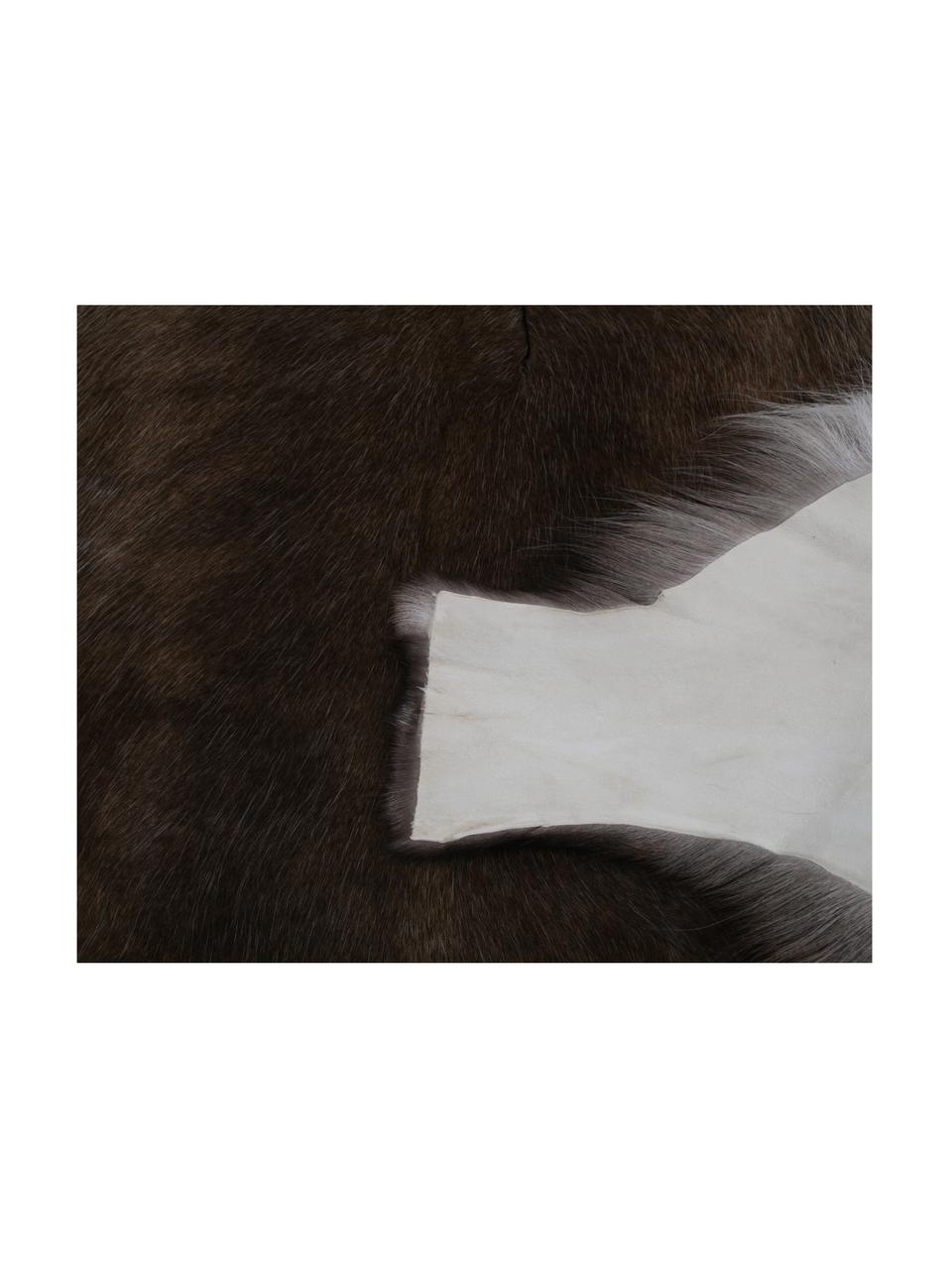 Alfombra de piel de reno Berndo, Piel de reno, Tonos marrones, Piel de reno única 232, 75 x 115 cm