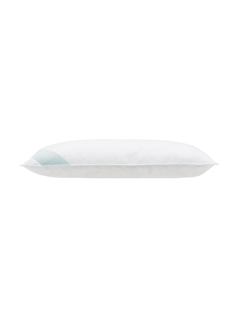 Cuscino medio con piume Standard, Rivestimento: 100% cotone, twill maco c, Bianco, Larg. 40 x Lung. 80 cm