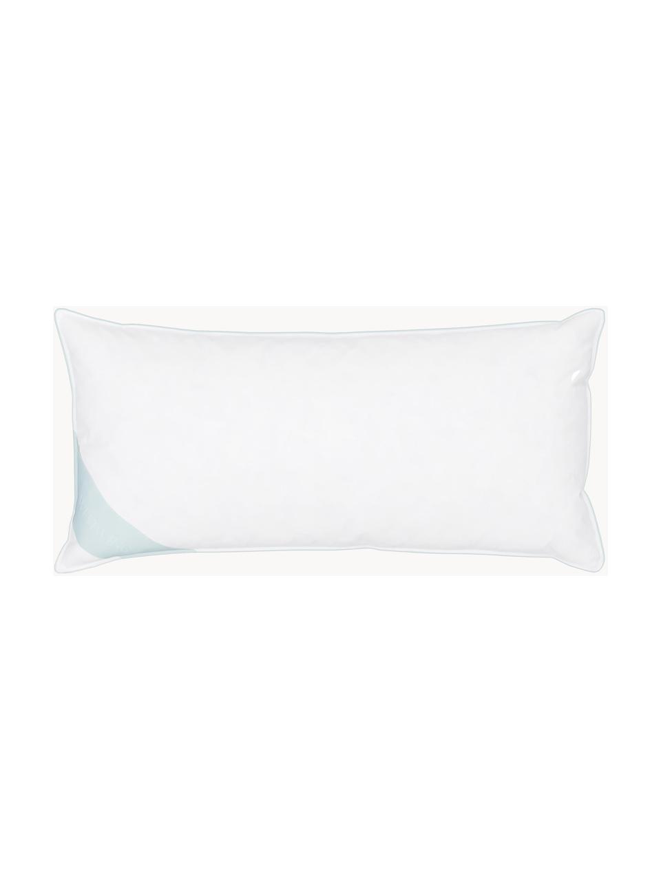 Almohada de plumas Standard, firmeza media, Funda: 100% algodón, tejido fino, Blanco, An 40 x L 80 cm