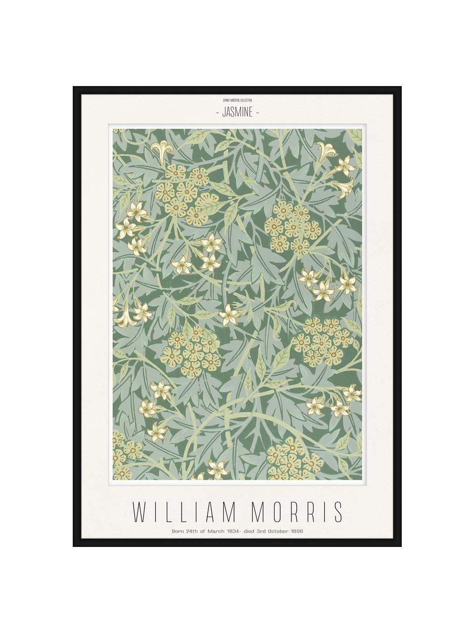 Impression numérique encadrée Jasmine - William Morris, Vert, jaune, noir, larg. 52 x long. 72 cm