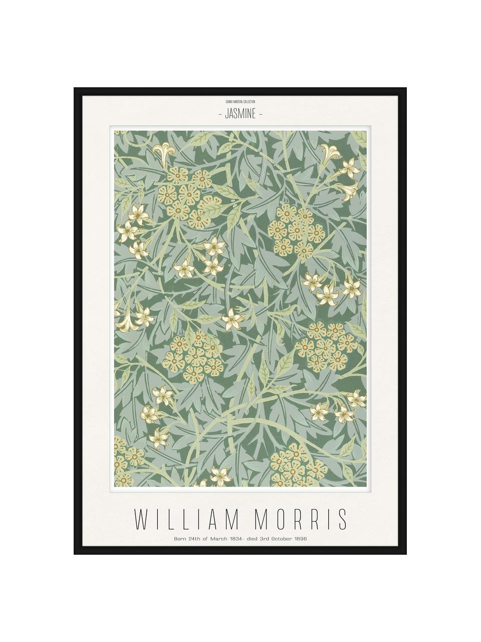 Stampa digitale incorniciata Jasmine - William Morris, Immagine: stampa digitale su carta, Struttura: legno, pannello di fibra , Verde, giallo, nero, Larg. 52 x Alt. 72 cm