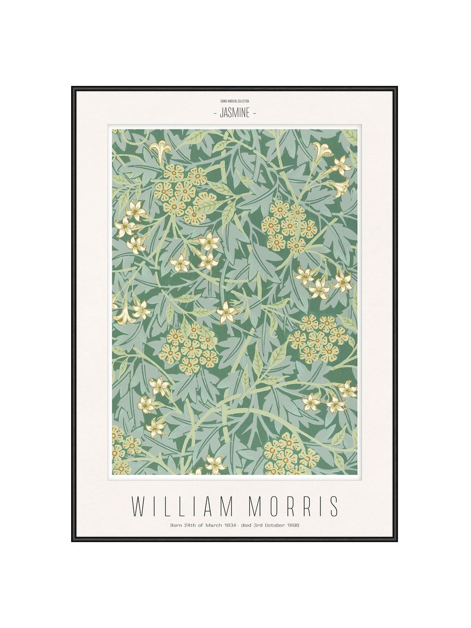 Gerahmter Digitaldruck Jasmine - William Morris, Bild: Digitaldruck auf Papier, Rahmen: Holz, Mitteldichte Holzfa, Front: Glas, Grün, Gelb, Schwarz, B 52 x H 72 cm