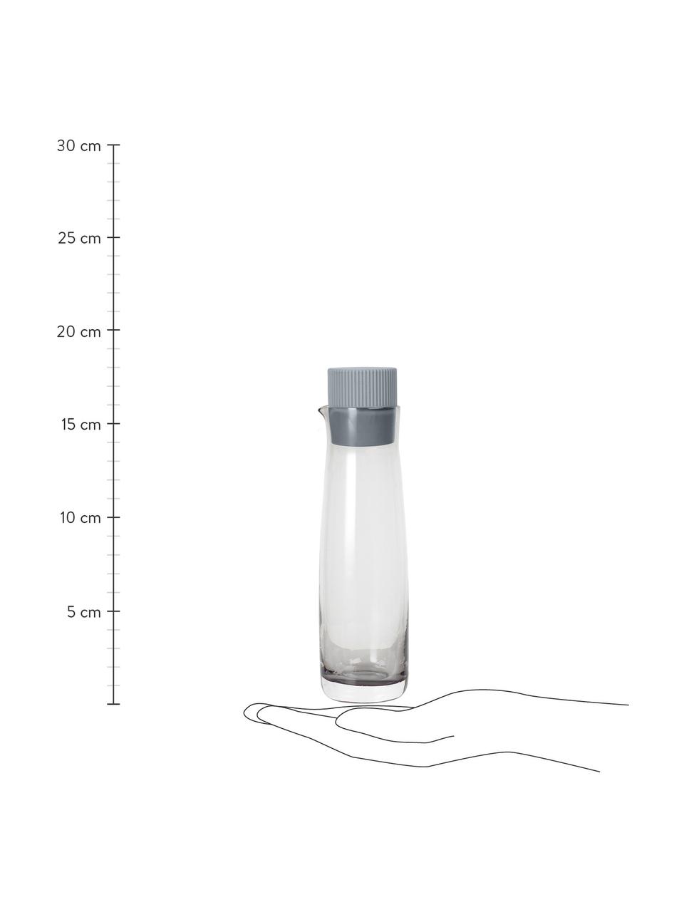 Azijn- en oliedispenserset Olvigo van glas, 2-delig, Sluiting: silicone, Grijs, Ø 5  x H 18 cm