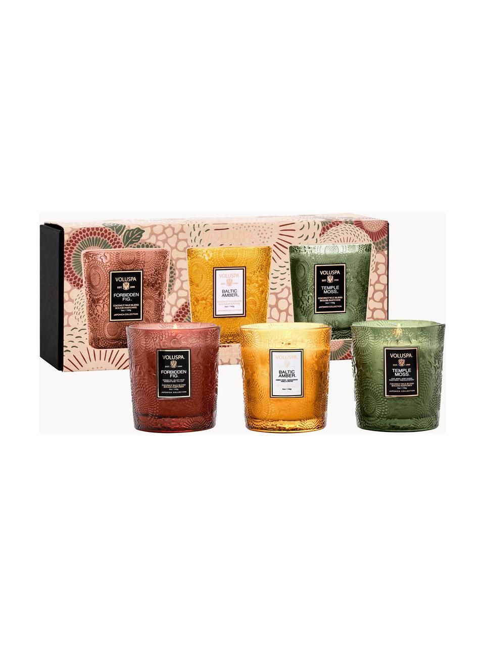 Set di 3 candele profumate fatte a mano Fragrant Foliage Demi, Contenitore: vetro, Diversi profumi, Larg. 24 x Alt. 10 cm