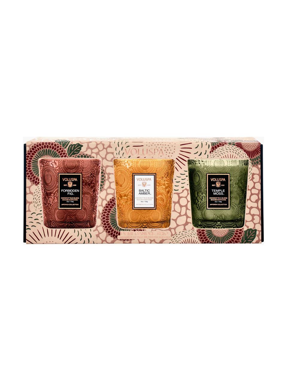 Set di 3 candele profumate fatte a mano Fragrant Foliage Demi, Contenitore: vetro, Diversi profumi, Larg. 24 x Alt. 10 cm