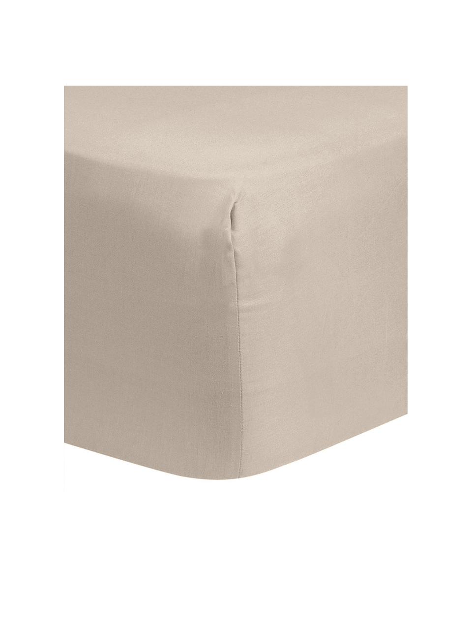 Lenzuolo con angoli in raso di cotone beige Comfort, Beige, Larg. 90 x Lung. 200 cm