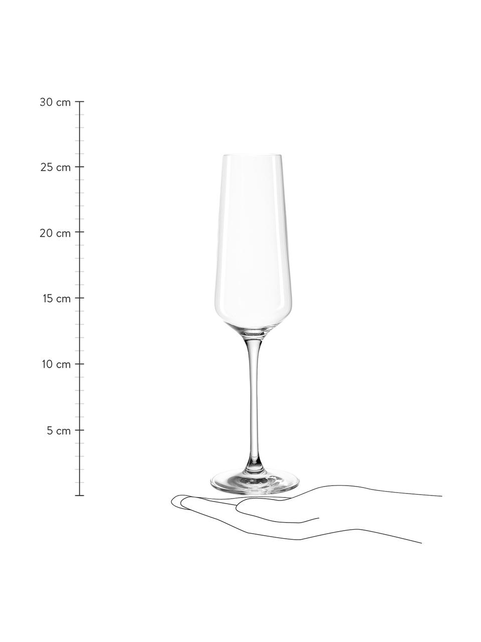 Sektgläser Puccini, 6 Stück, Teqton®-Glas, Transparent, Ø 7 x H 26 cm, 280 ml