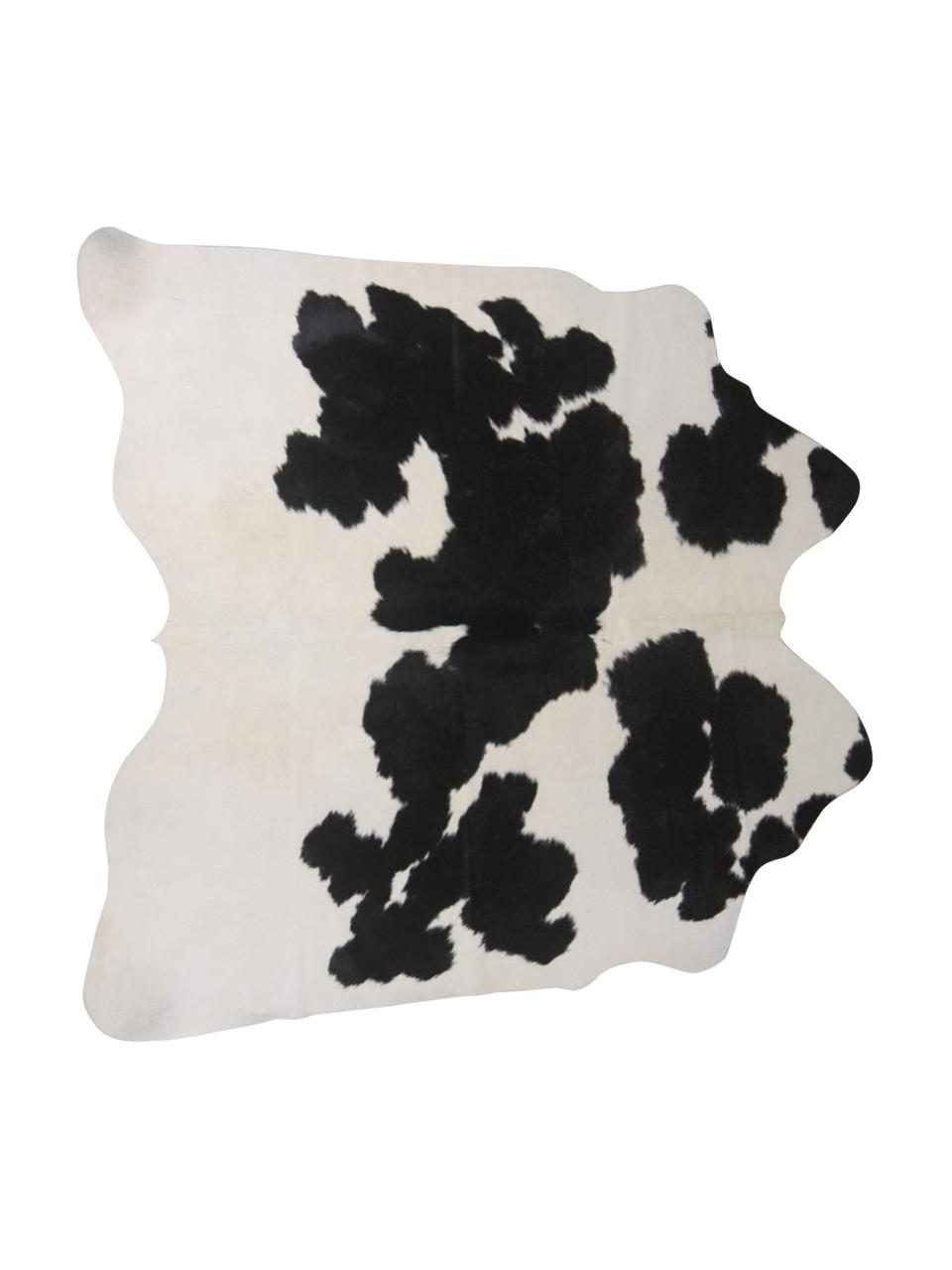 Tapis en peau de vache Otto, Peau de vache, Noir, blanc, Peau de vache, exemplaire unique nº 975, 160 x 180 cm