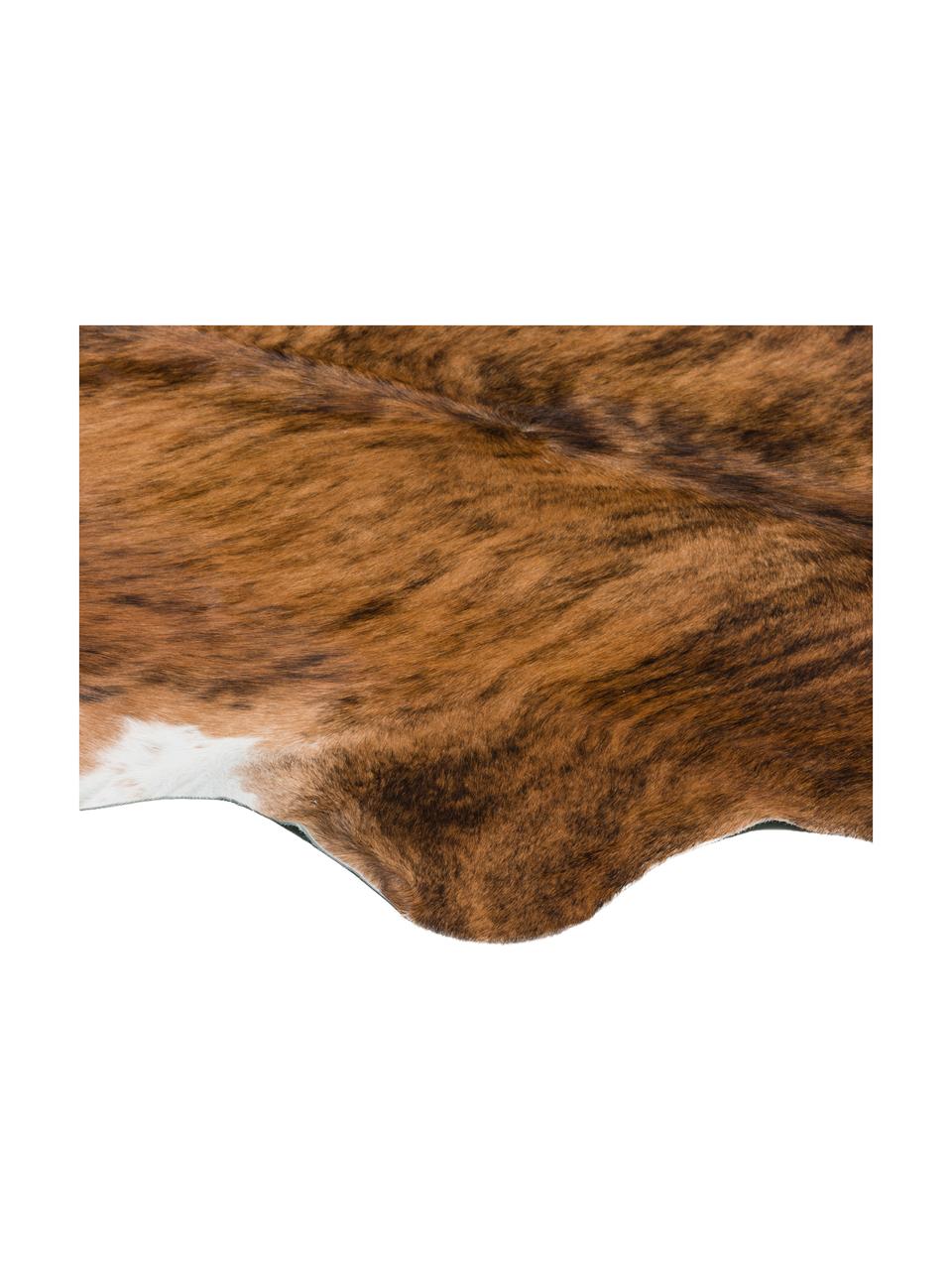 Tappeto in pelle di mucca Leo, Pelle di mucca, Marrone, sgombro, Pelle di mucca unica 935, 160 x 180 cm