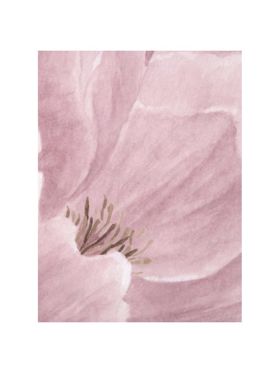 Perkálový povlak na polštář s květinovým potiskem Rosario, 2 ks, Bílá, růžová, Š 40 cm, D 80 cm