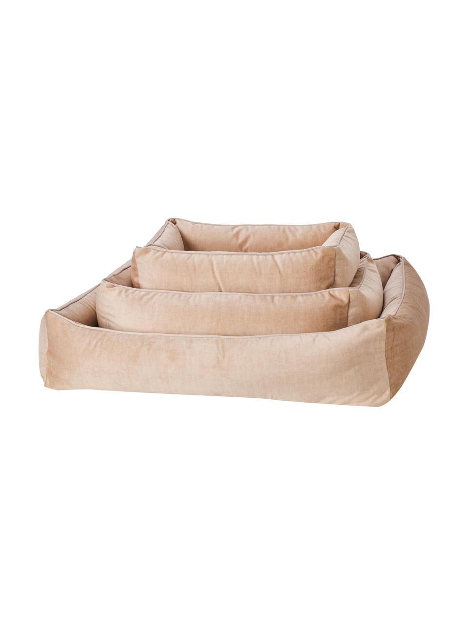 Panier en velours pour chien Glam, tailles variées, Abricot, beige clair, larg. 68 x prof. 55 cm