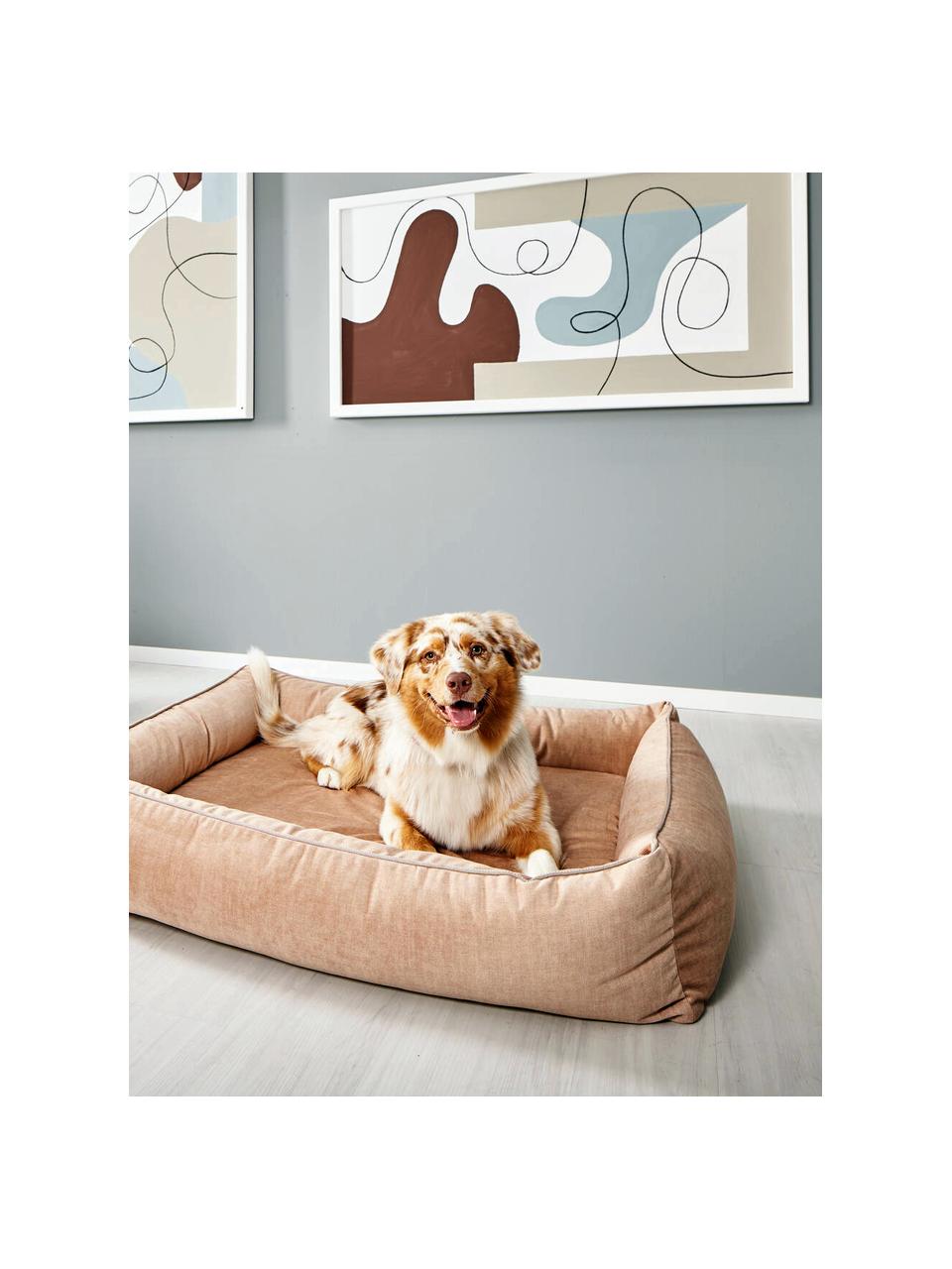 Panier en velours pour chien Glam, tailles variées, Abricot, beige clair, larg. 68 x prof. 55 cm
