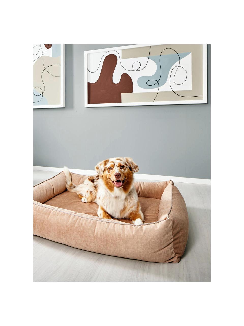 Samt-Hundebett Glam, verschiedene Größen, Bezug: Samt (100 % Polyester) De, Peach, Hellbeige, B 68 x T 55 cm