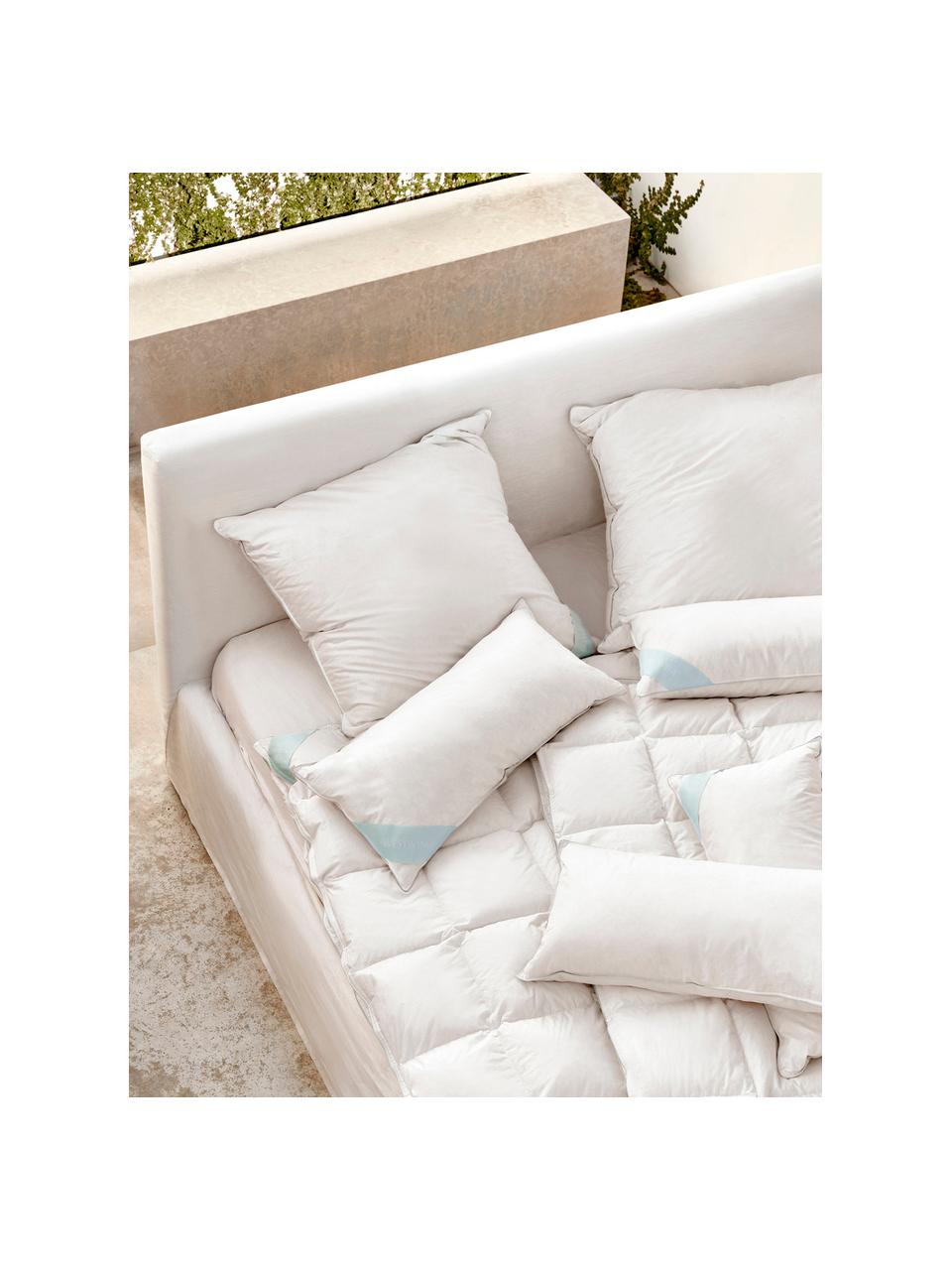 Cuscino morbido Comfort, Bianco con fascia di stoffa in raso turchese, Larg. 80 x Lung. 80 cm